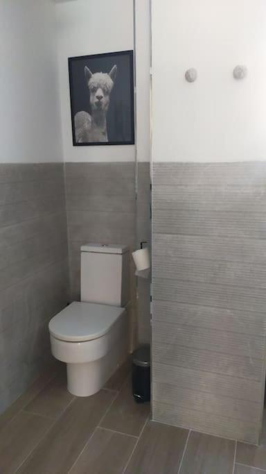 Apartamento Laurana Сантандер Экстерьер фото